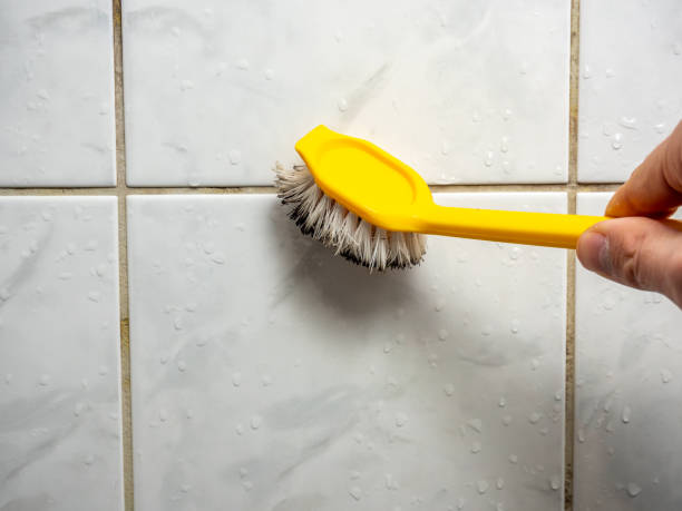 Mold Testing and Removal in Belmont, VA