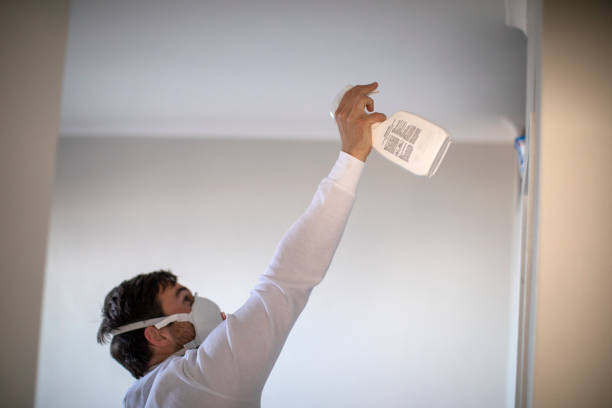 Best Toxic Mold Removal  in Belmont, VA