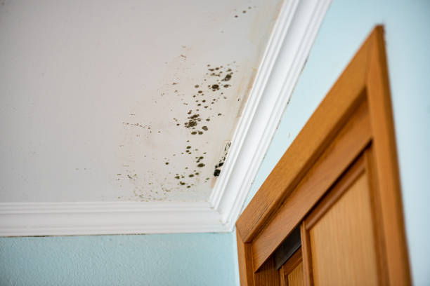Water Damage Restoration in Belmont, VA