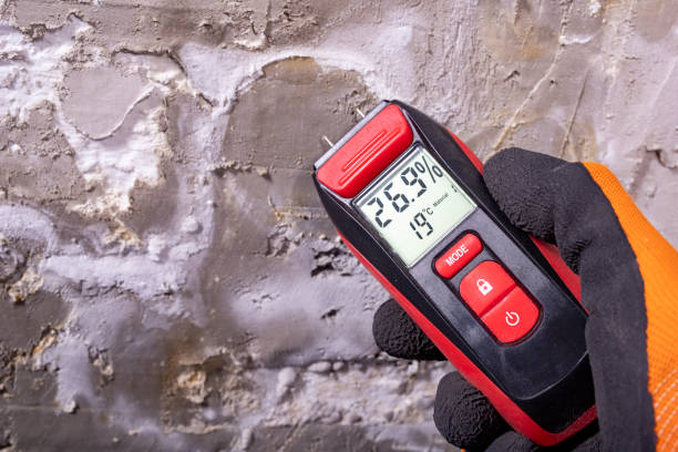 Best Water Damage Restoration  in Belmont, VA