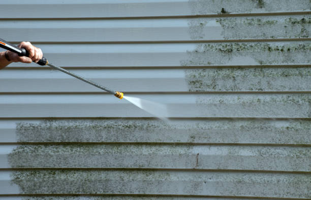 Best Commercial Mold Removal  in Belmont, VA