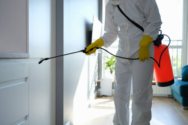 Best Office Mold Removal Services  in Belmont, VA